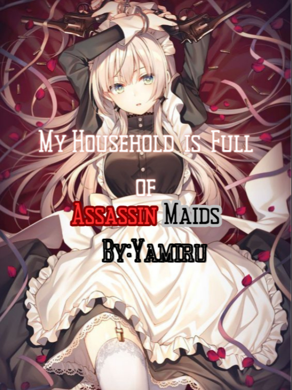 My Household is Full of Assassin Maids Book