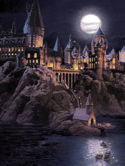 HP/MCU: El Inicio de la magia Book