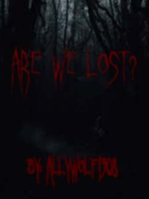 Are we lost? Book