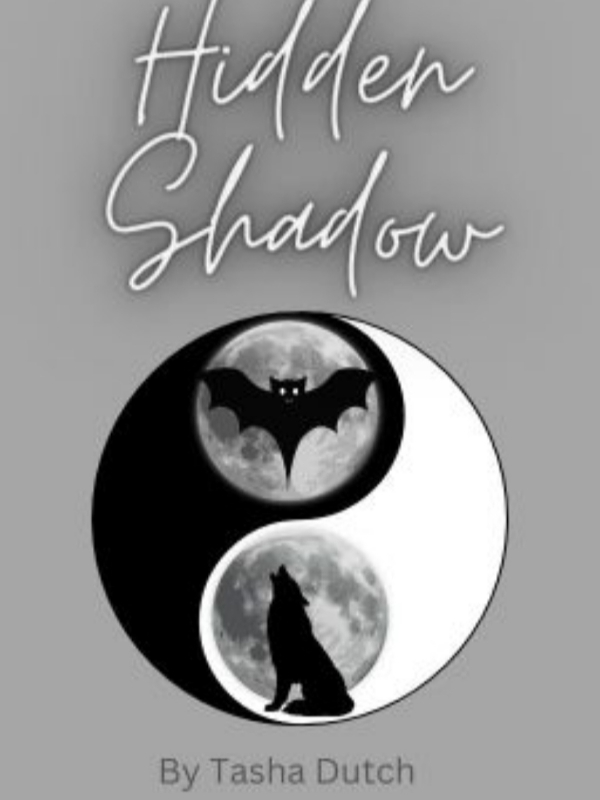 ○Hidden Shadows○ Book