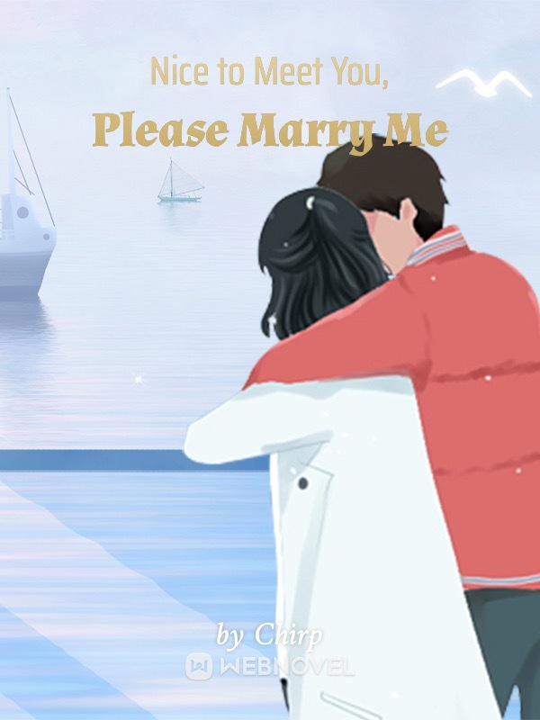 Nice to Meet You, Please Marry Me Book