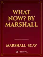 What now? by marshall Book