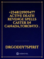 +2348125909477  Active Death Revenge Spells Caster In Canada,Toronto . Book