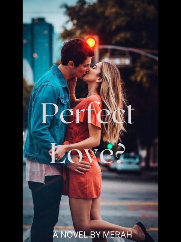Perfect Love? Book