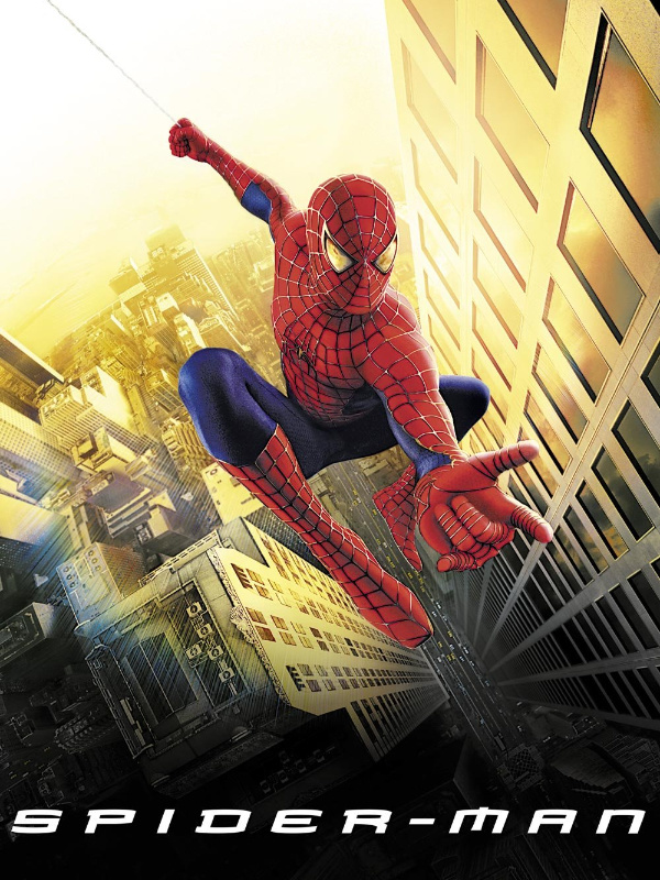 Spiderman-Into The Dc Universe