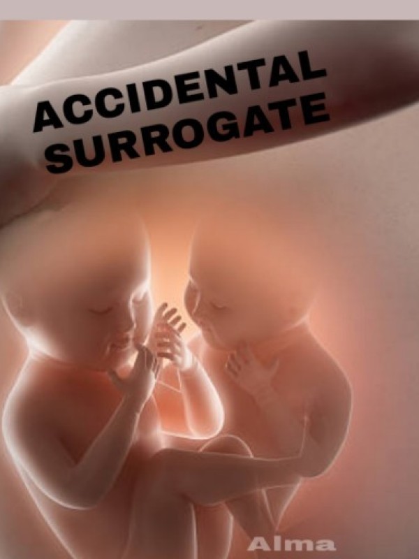 Accidental Surrogate Book