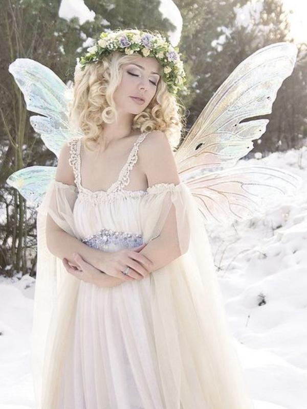 The Winter Fairy