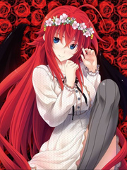Before I Died, I Kissed Rias Gremory Book