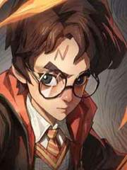 HP: You're a Gamer Harry! Book