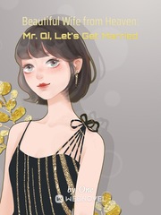 Beautiful Wife from Heaven: Mr. Qi, Let's Get Married Book