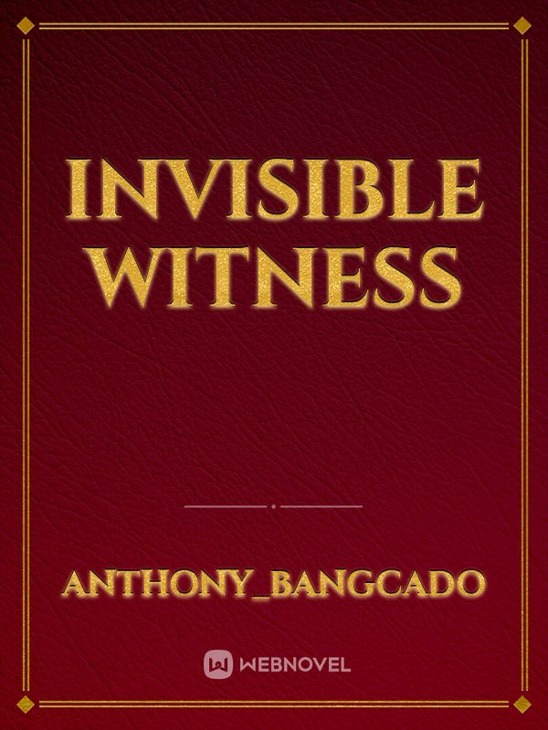 Invisible Witness Book
