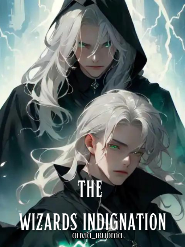 The Wizards Indignation (TO BE REWRITTEN) Book