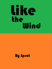 Like the wind Book