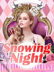 Snowing Night Book