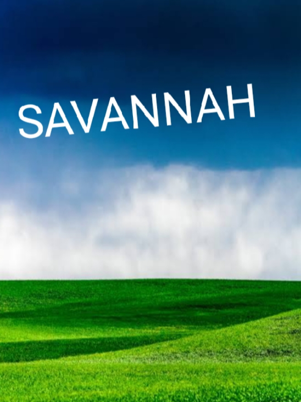 SAVANNAH Book