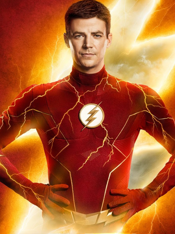 The Flash A New Blur (The Flash/ Barry Allen x reader) Book