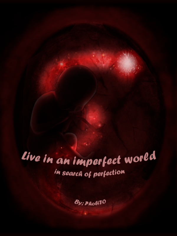 Live in an imperfect world in search of perfection