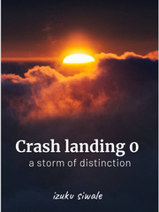 Crash landing Book