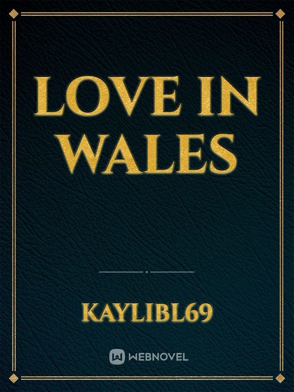 Love in Wales Book