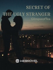 Secret of the Ugly Stranger Book