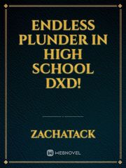 Endless Plunder in High School DxD! Book