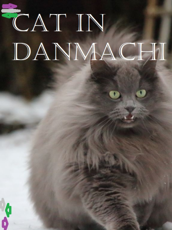 Cat in danmachi