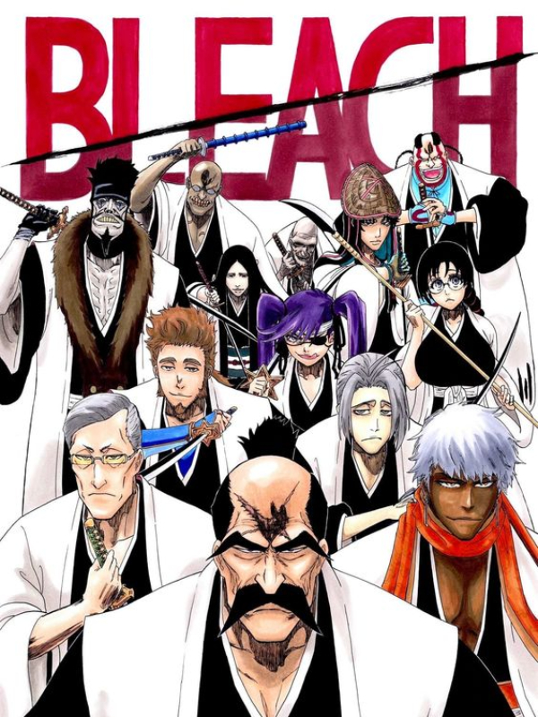 Bleach: Mikoto Masashi Book