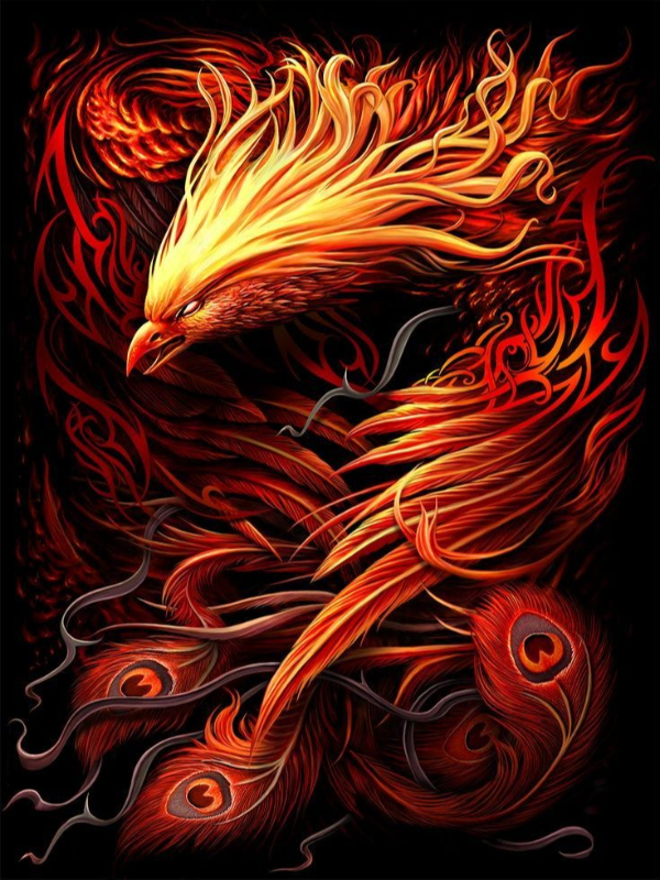 Hogwarts: Start Fusion Phoenix Bloodline Book