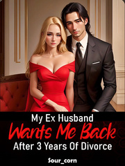 My Ex Husband Wants Me Back After 3 Years Of Divorce Book