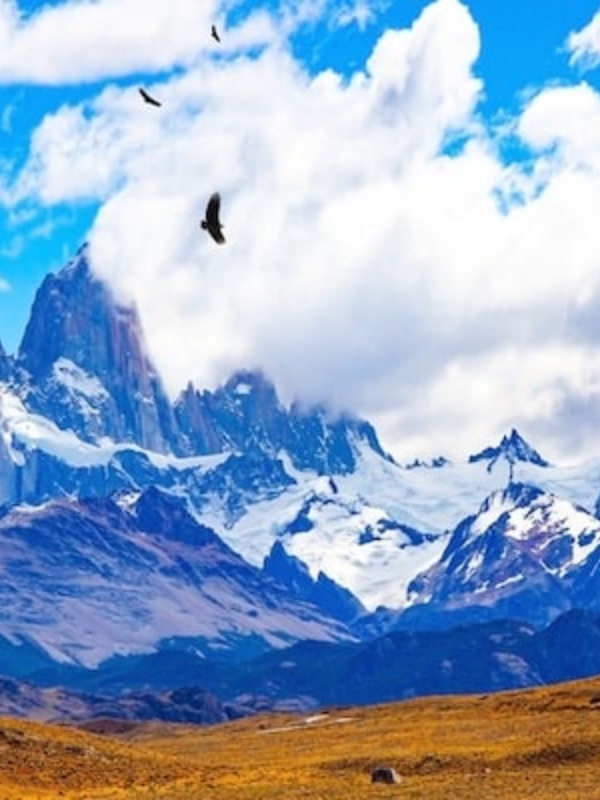 Título: "Huella de Esperanza: Entre los Andes y la Libertad"