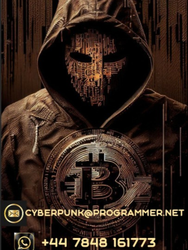 PUNKERSCYBERORG TACKLES CRYPTOCURRENCY INVESTMENT SCAM Book
