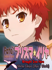 Fate/kaleid liner - Wrought Iron Hero (Shirou Emiya - Illya's World) Book