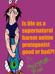 Is life as a supernatural harem anime protagonist good or bad? Book