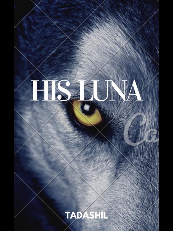 His Luna: Teenage Turmoil in a Small Town Book