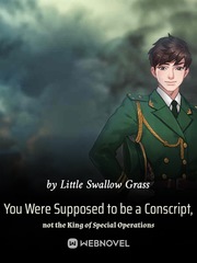 You Were Supposed to be a Conscript, not the King of Special Operations Book