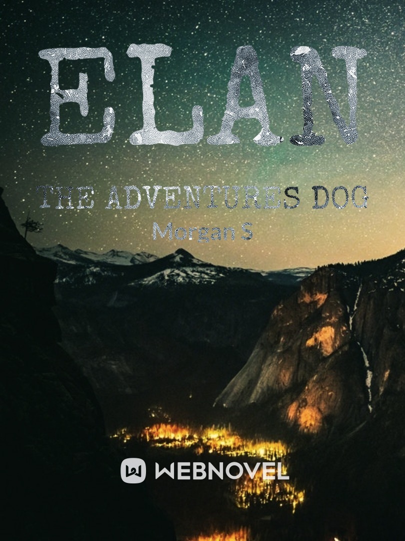 Elan The Adventurous Dog