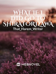 What If I Did Go To Shiratorizawa Book