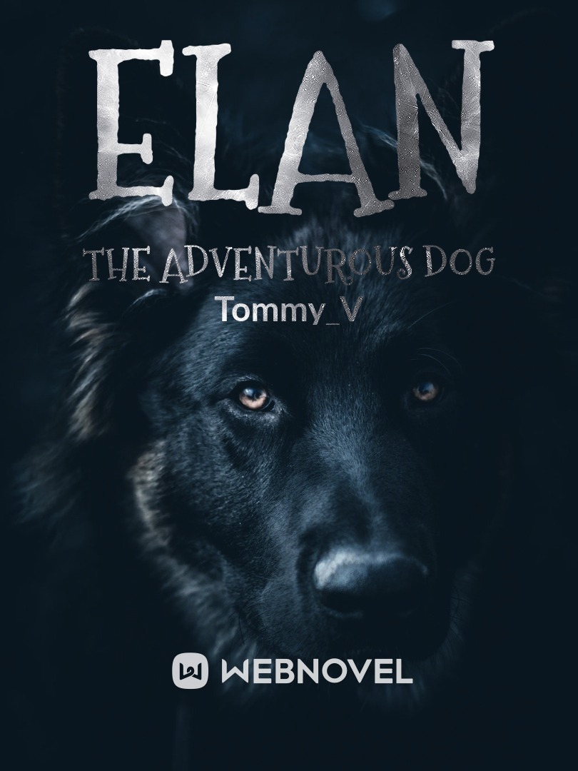 Elan The Adventure Dog