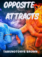 OPPOSITE ATTRACTS Book
