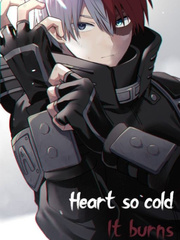 Heart so Cold, it Burns - (Shoto Todoroki x Highschool DxD) Book