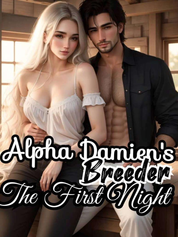 Alpha Damien's Breeder: The first night Book