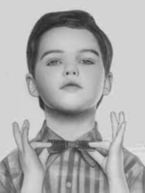 Young Sheldon: The Transmigration of Jake McCallister Book