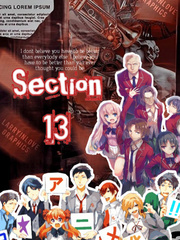 Section 13 Book