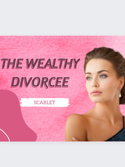 The Wealthy Divorcee Book
