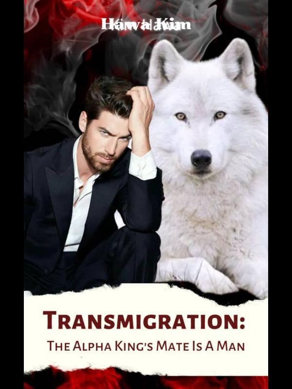 Transmigration: The Alpha King's Mate Is A Man Book