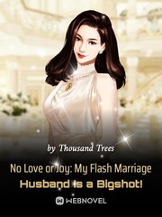 No Love or Joy: My Flash Marriage Husband Is a Bigshot! Book