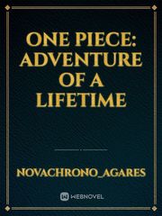 One Piece: Adventure of a Lifetime Book