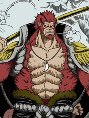 One Piece: Chaos Kong Book