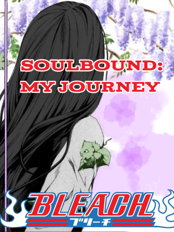 Soulbound: My Journey