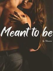 Meant to be : Missing boundaries Book